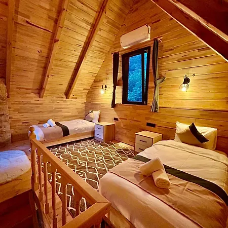 Alfa Dagevleri Hotel Rize