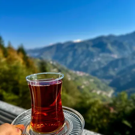 Alfa Dagevleri