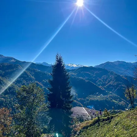 Alfa Dagevleri Hotel Rize
