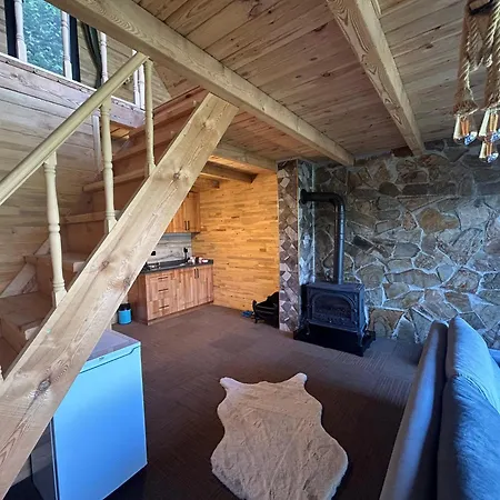 Alfa Dagevleri Hotel Rize